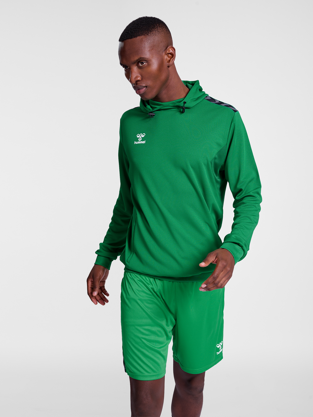 hmlAUTHENTIC PL HOODIE