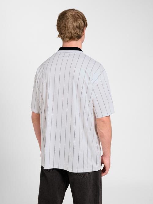 Chevron Pinstripe Polo Shirt