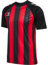 hmlMATCH STRIPED JERSEY S/S