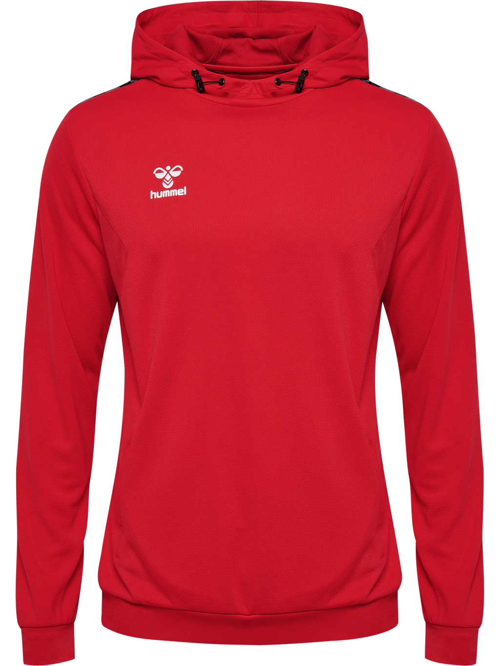hmlAUTHENTIC PL HOODIE