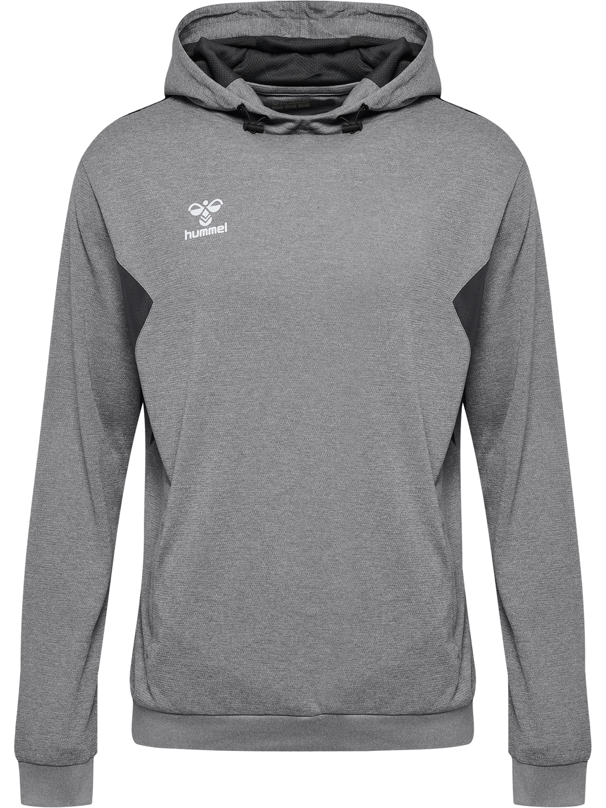 hmlAUTHENTIC PL HOODIE