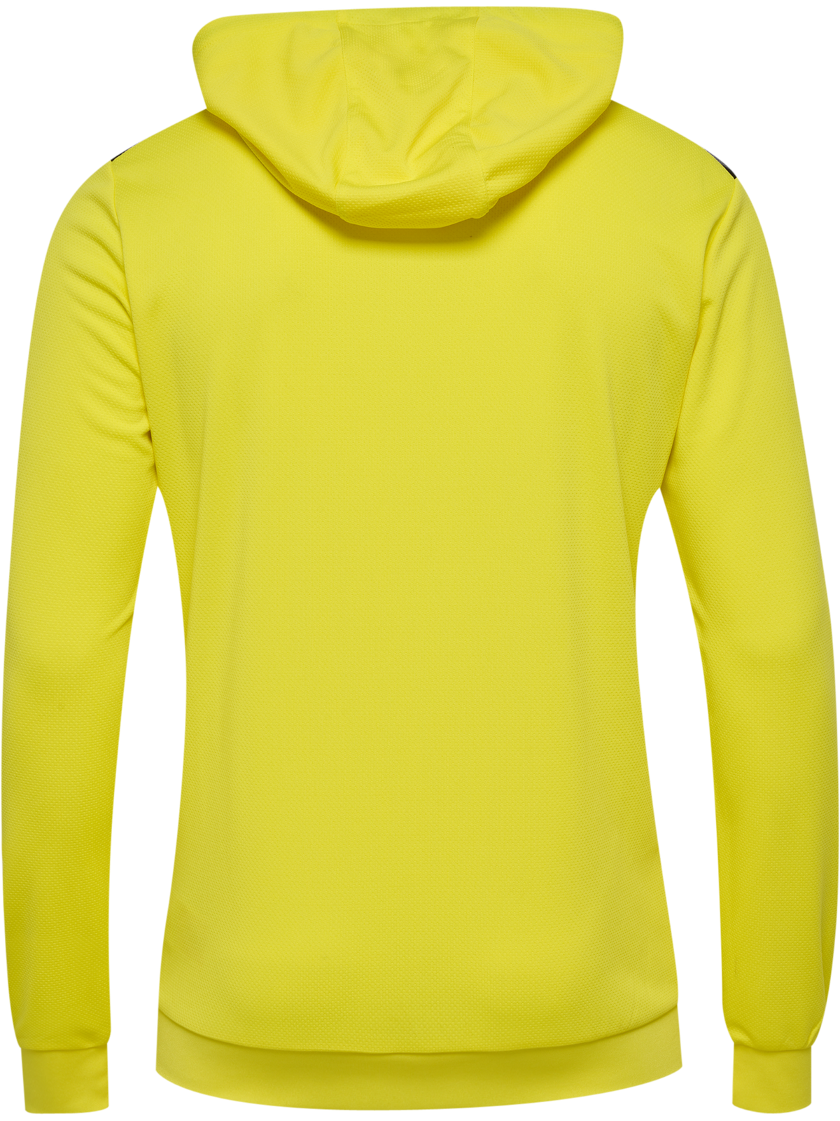 hmlAUTHENTIC PL HOODIE