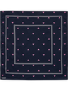 hmlI-D BANDANA