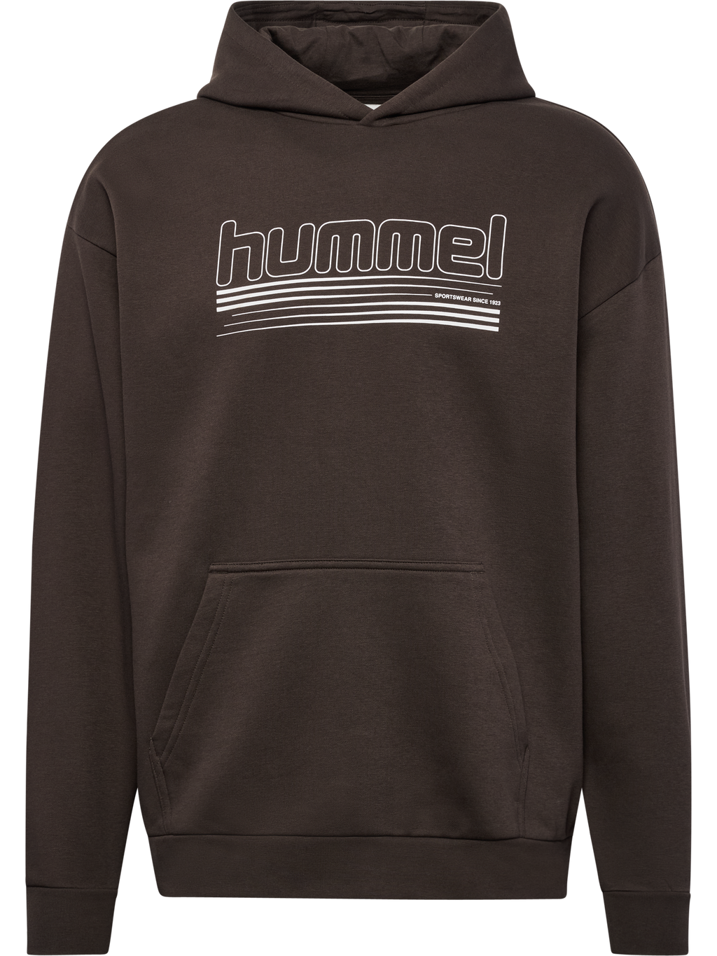 hmlSW GRAPHIC HOODIE