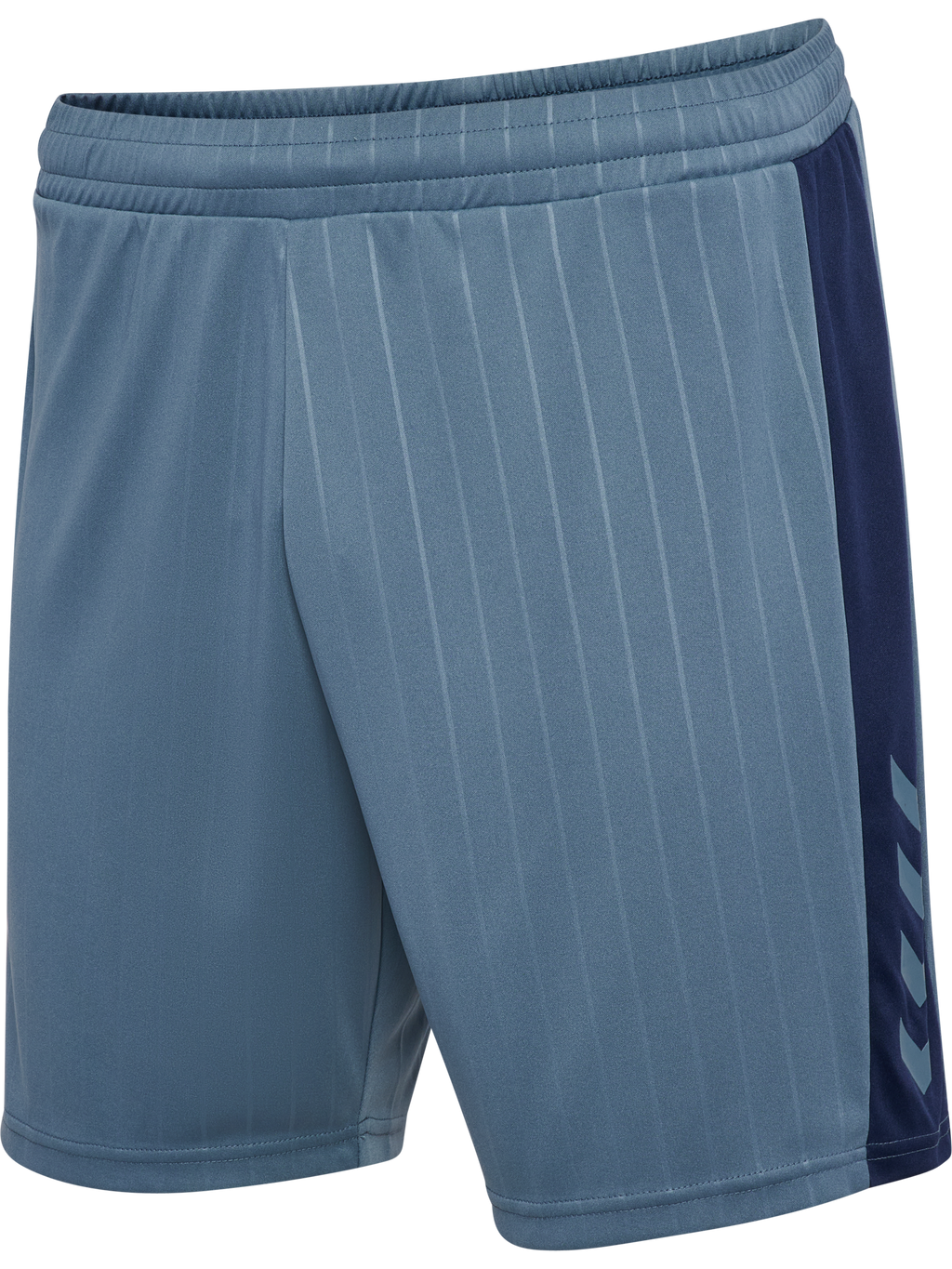 hmlPULSE STRIPE BLOCKED SHORTS