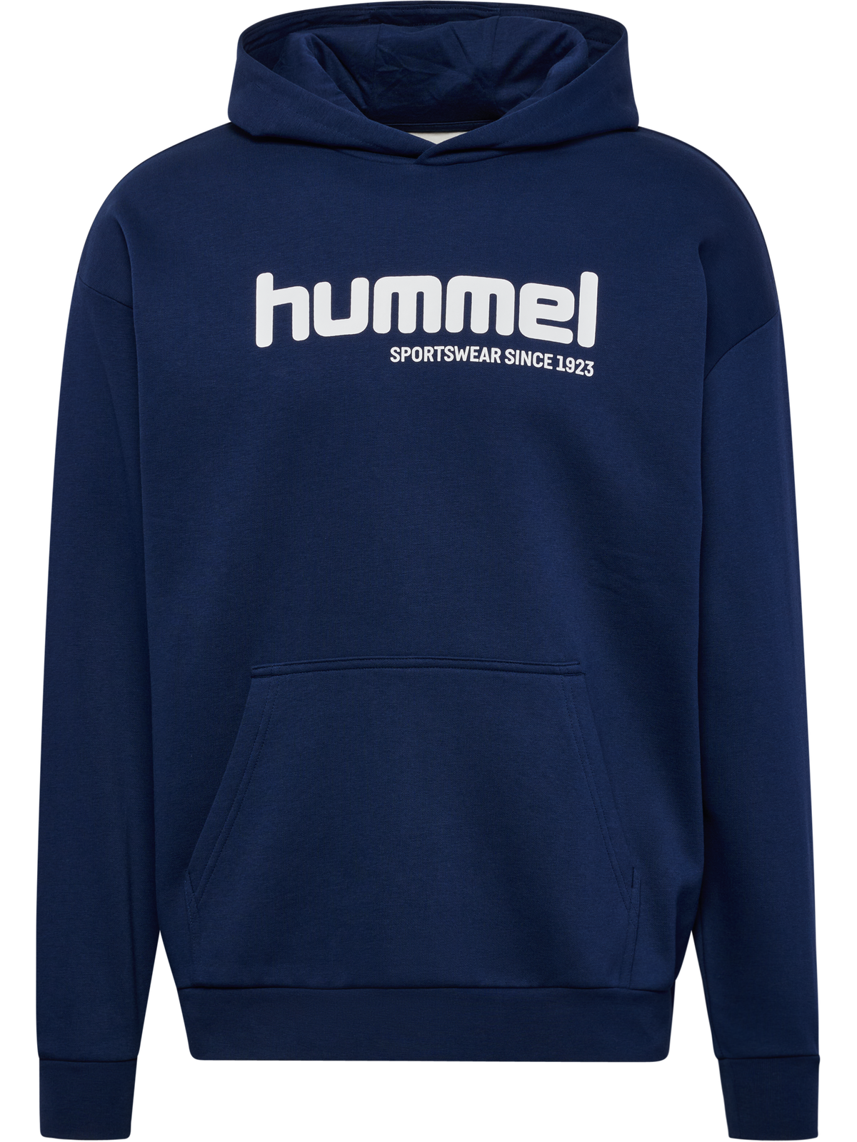 hmlSW GRAPHIC HOODIE