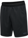 hmlSTRIPE SHORTS