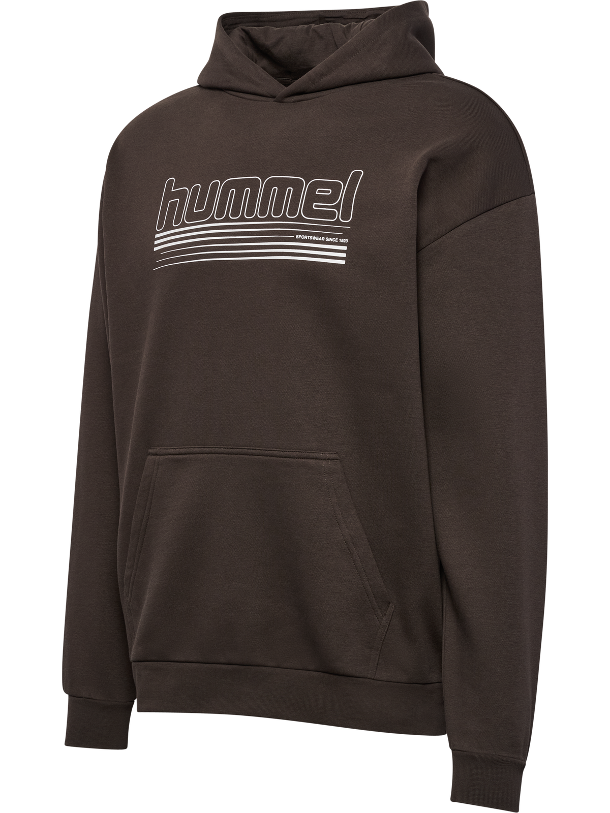 hmlSW GRAPHIC HOODIE