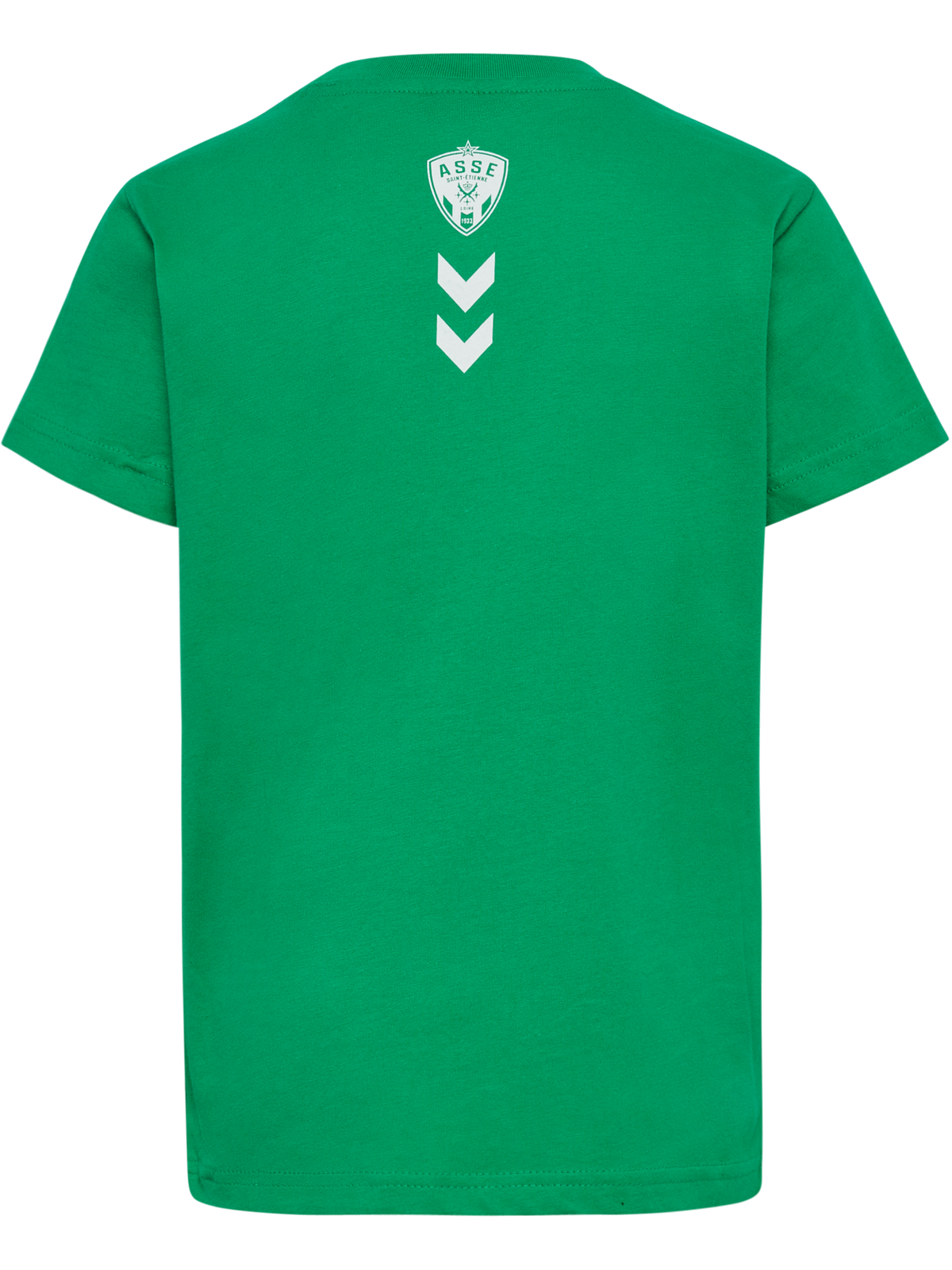 ASSE 22/23 FAN GREEN T-SHIRT S/S KI