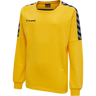 hmlAUTHENTIC KIDS TRAINING SWEAT