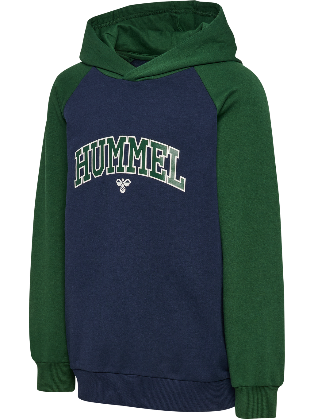 hmlESSEN HOODIE