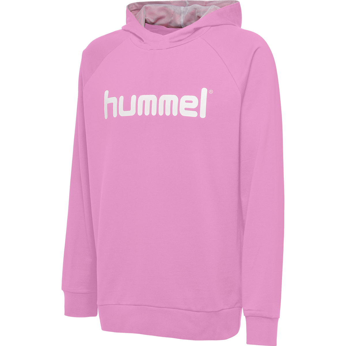 hmlGO KIDS COTTON LOGO HOODIE