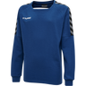 hmlAUTHENTIC KIDS TRAINING SWEAT