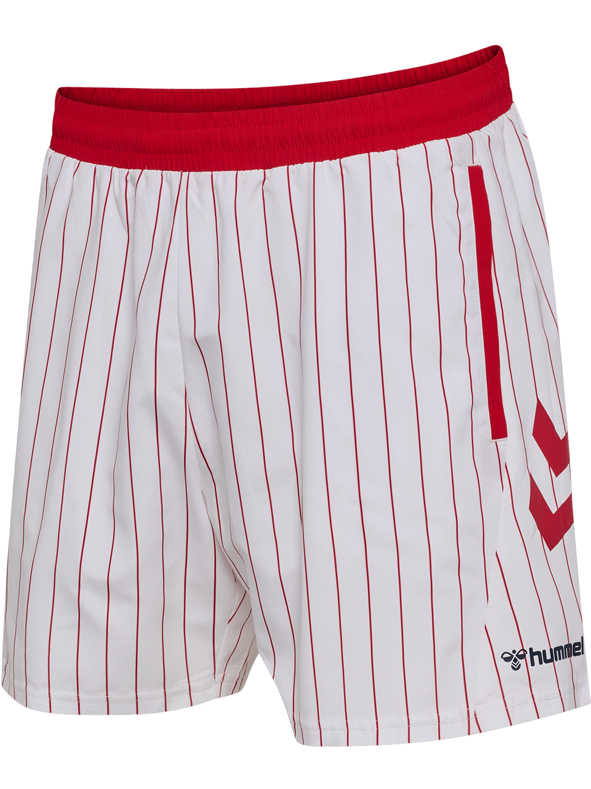 DBU 26 FAN SWIM SHORTS