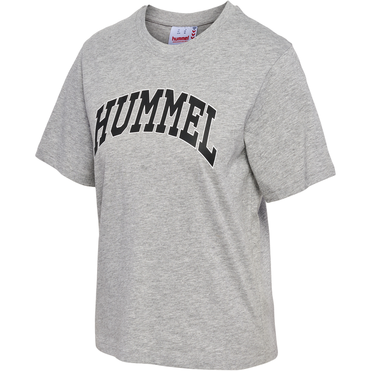 hmlIC GILL LOOSE T-SHIRT