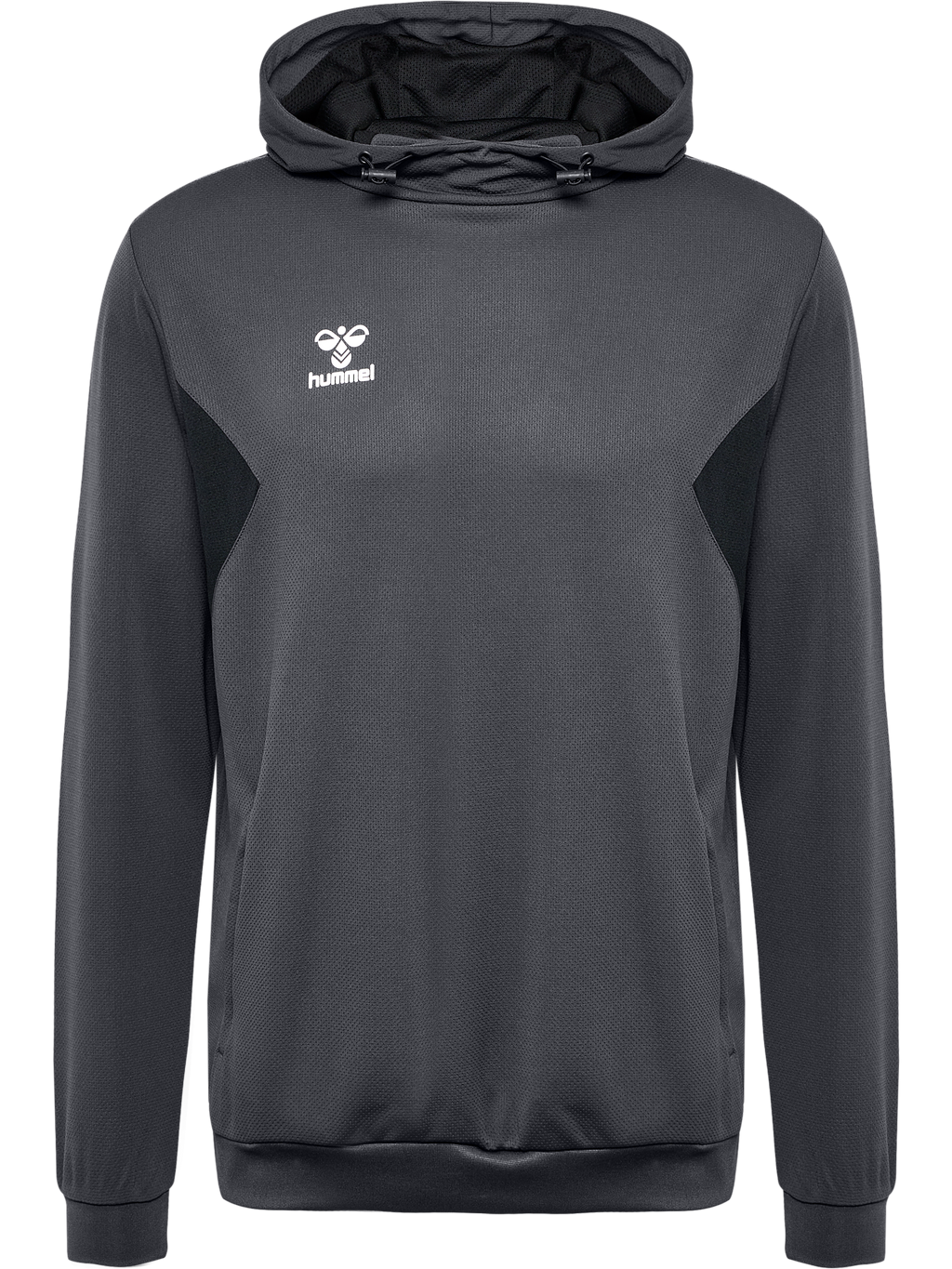 hmlAUTHENTIC PL HOODIE
