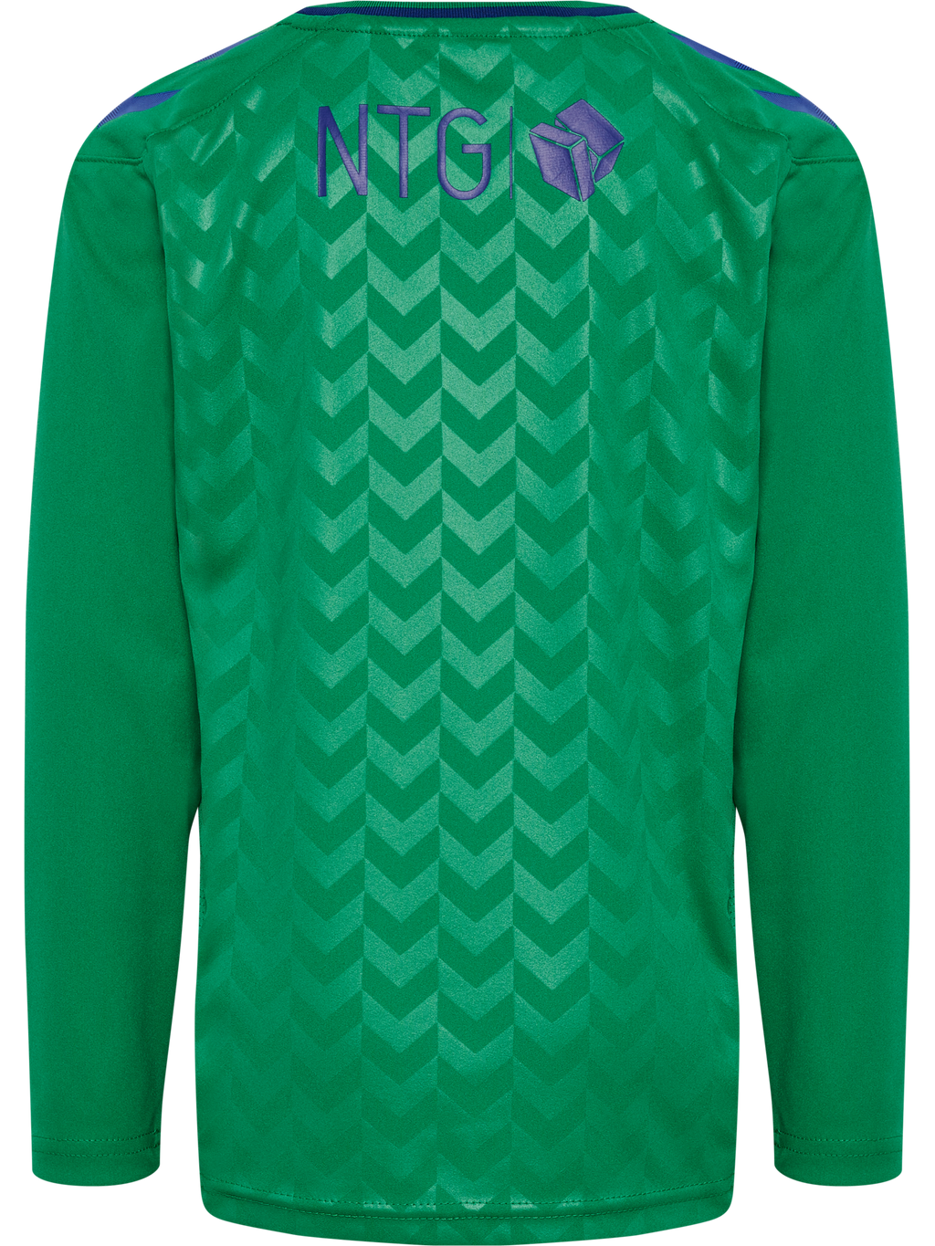 BRØNDBY 22/23 GK JERSEY L/S KIDS