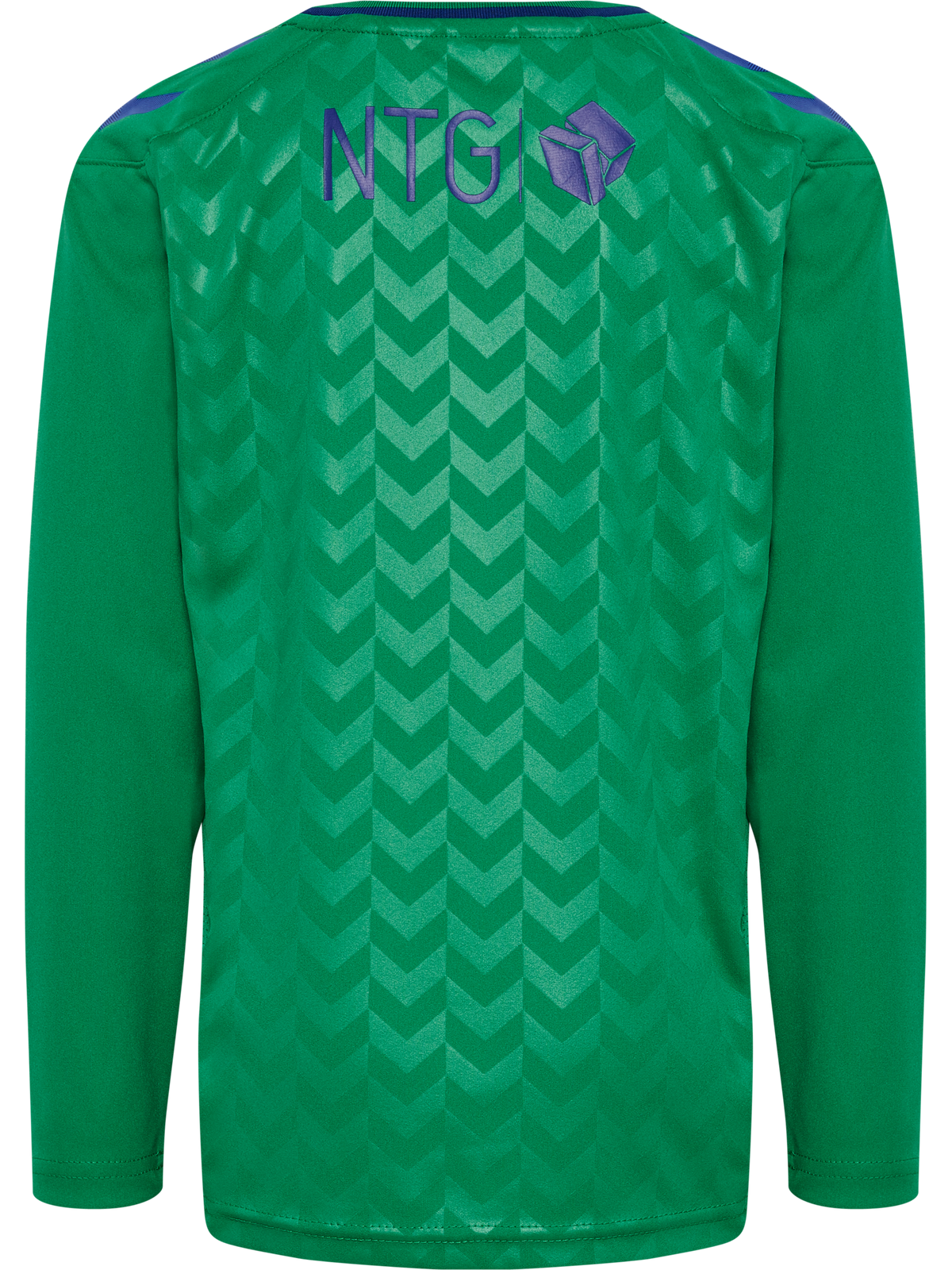 BRØNDBY 22/23 GK JERSEY L/S KIDS