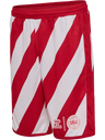 DBU 26 FAN SHORTS