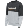 hmlLGC MANFRED SWEATSHIRT