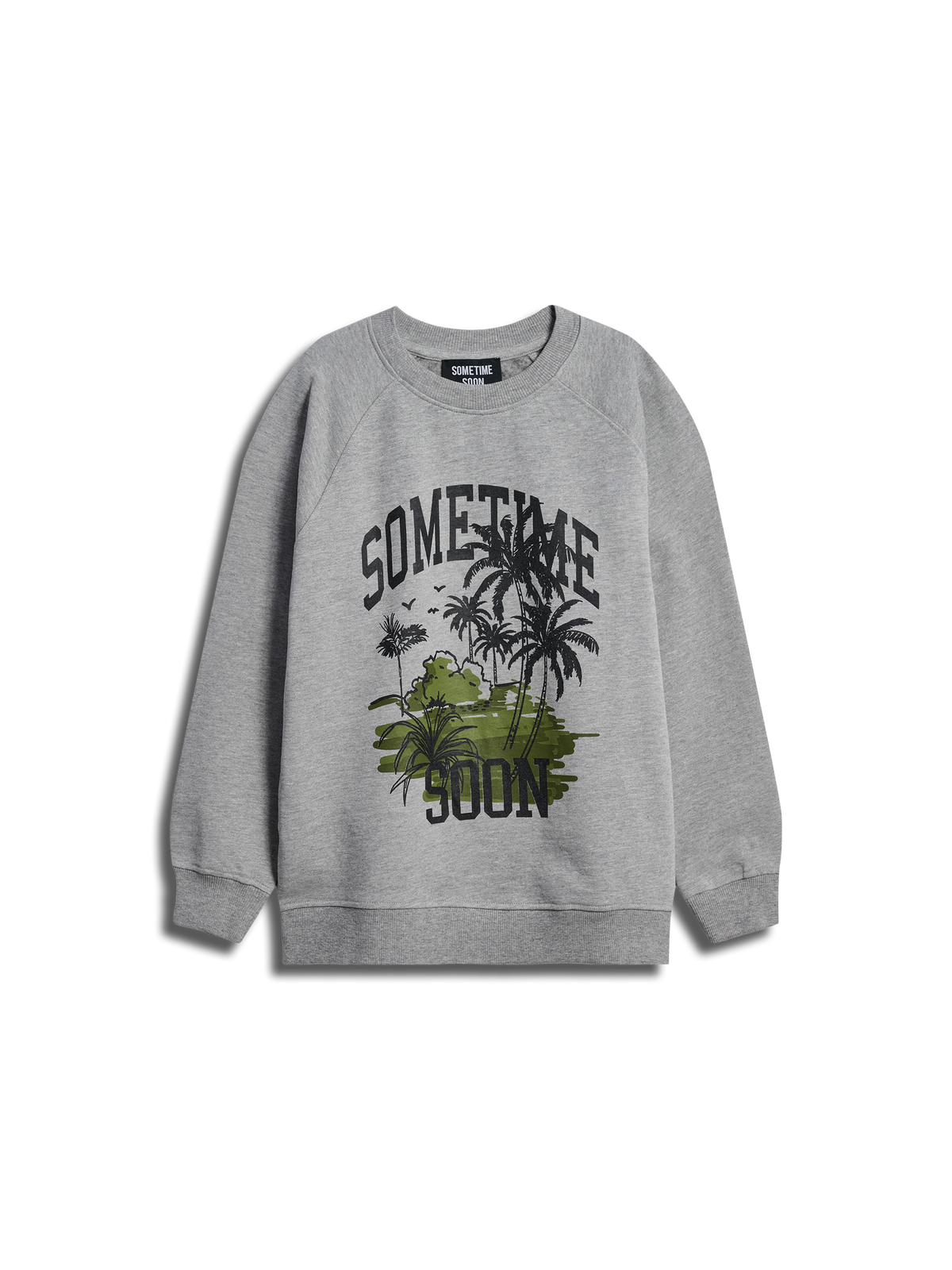 stsPALM SWEATSHIRT